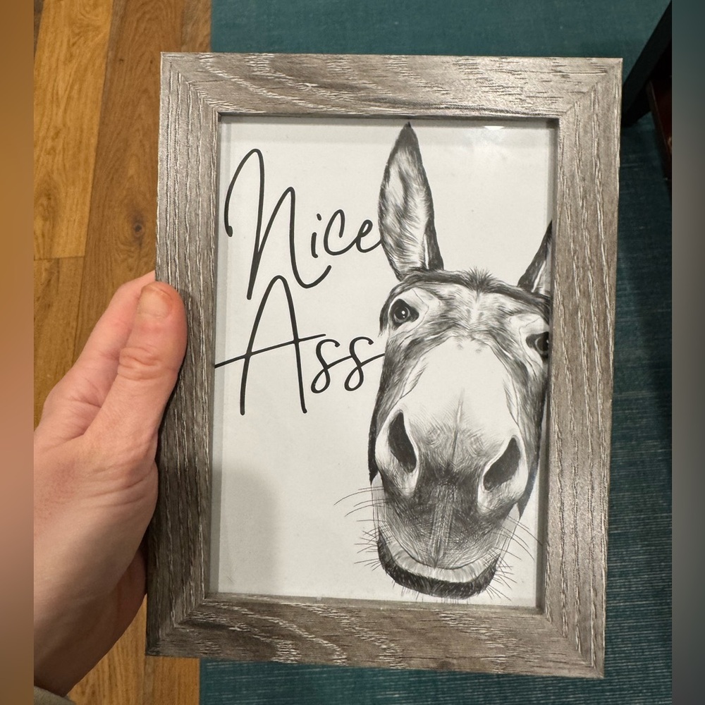 Nice *Ss framed print